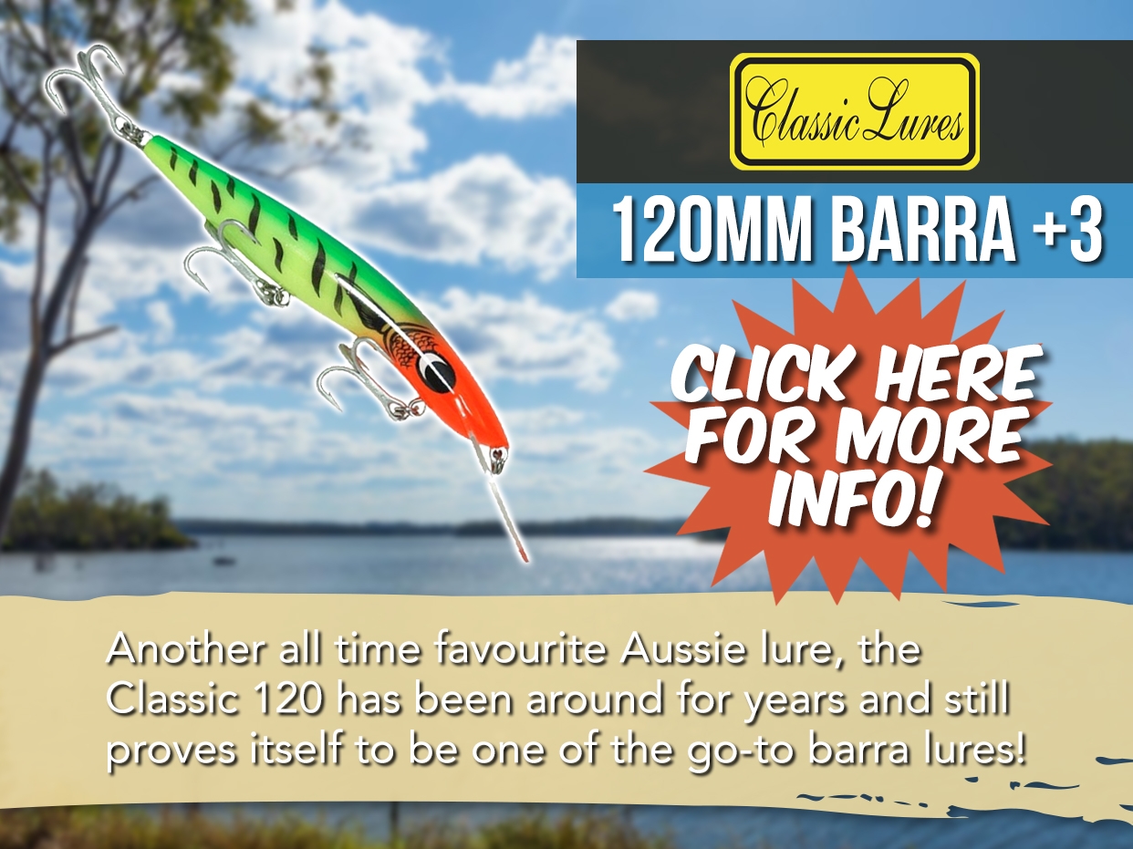 CLASSIC 120MM BARRA +3
