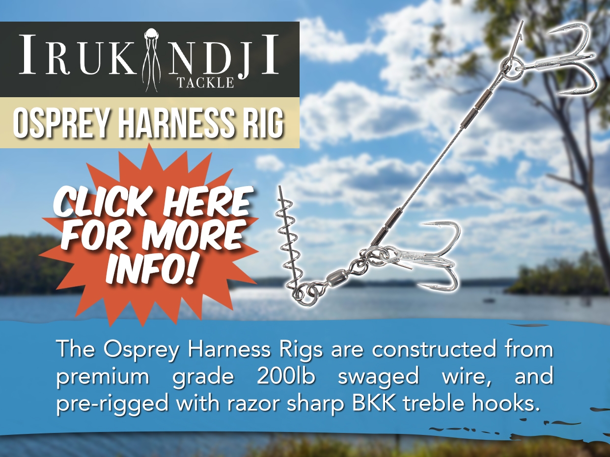 IRUKANDJI OSPREY HARNESS RIG