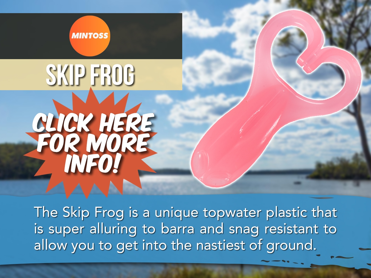 MINTOSS SKIP FROG LURE