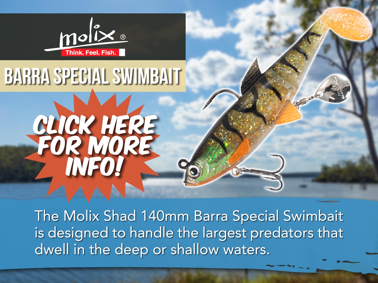 MOLIX SHAD 140MM BARRA SPECIAL SWIMBAIT
