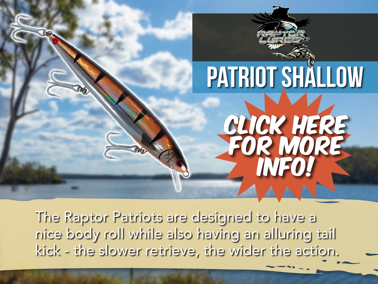 RAPTOR LURES PATRIOT SHALLOW LURE