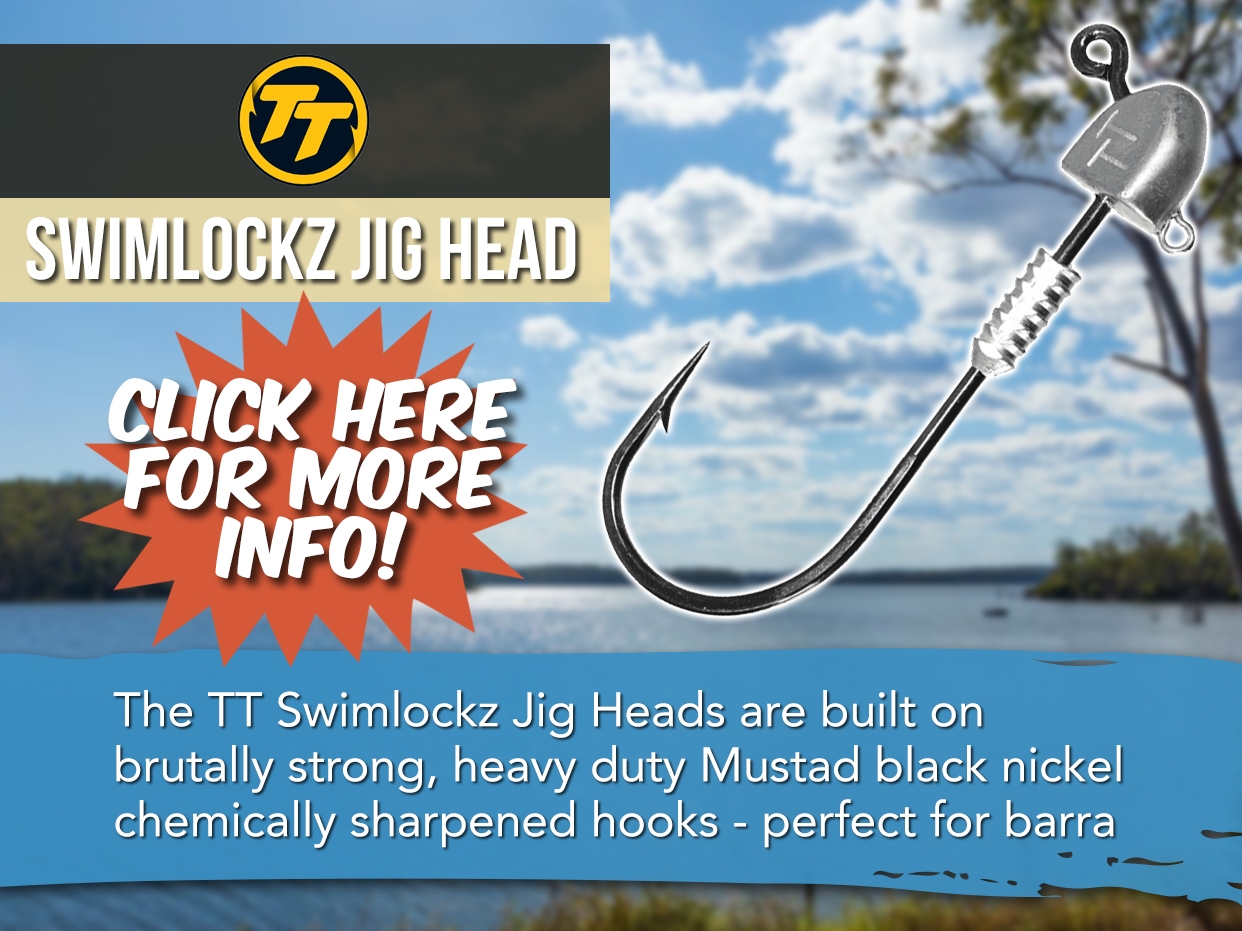 TT SWIMLOCKZ JIG HEAD