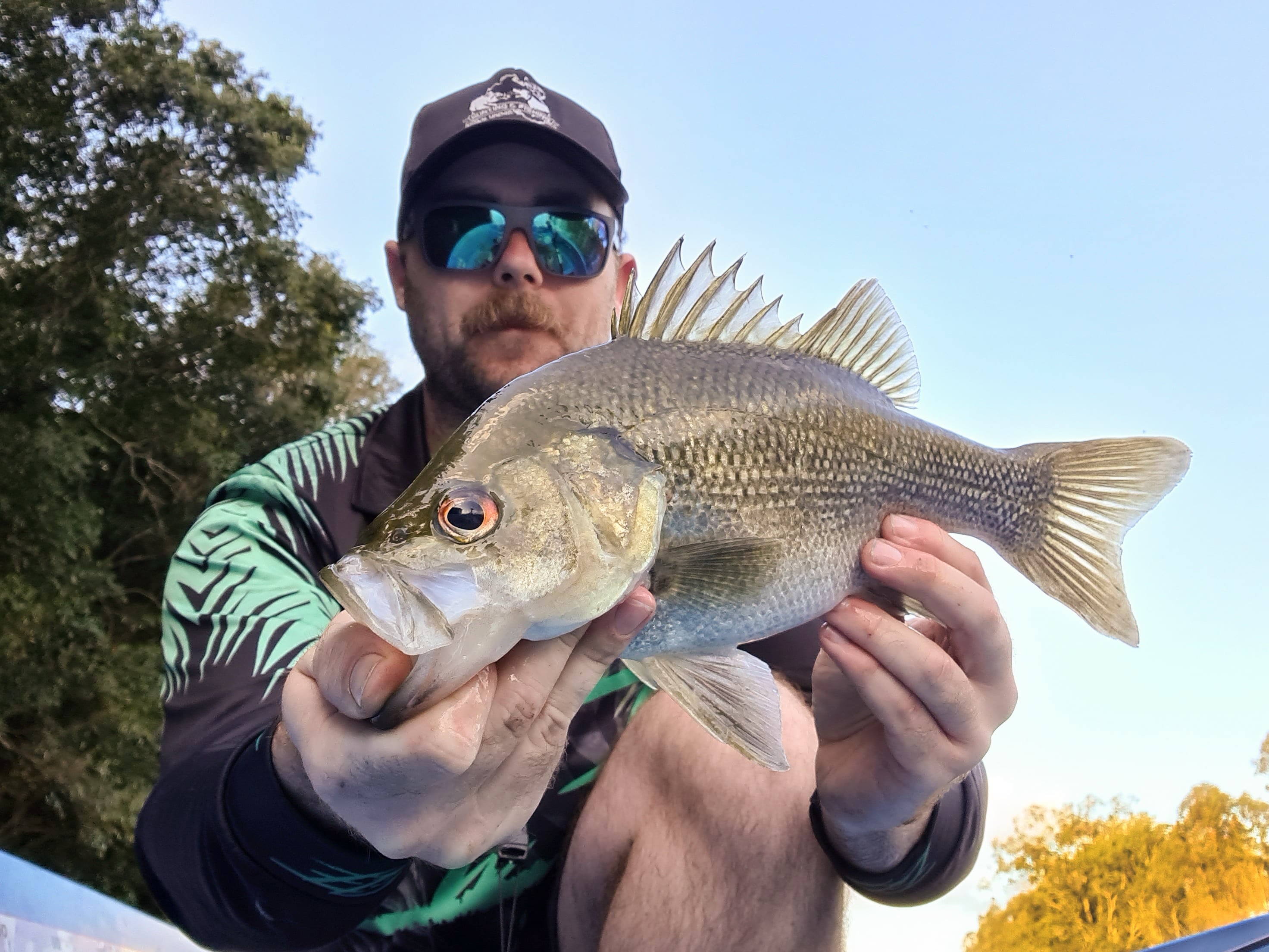 Sam's Bass