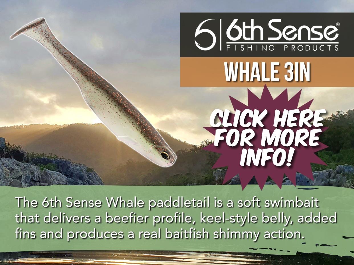 6TH SENSE WHALE SOFT PLASTIC LURE