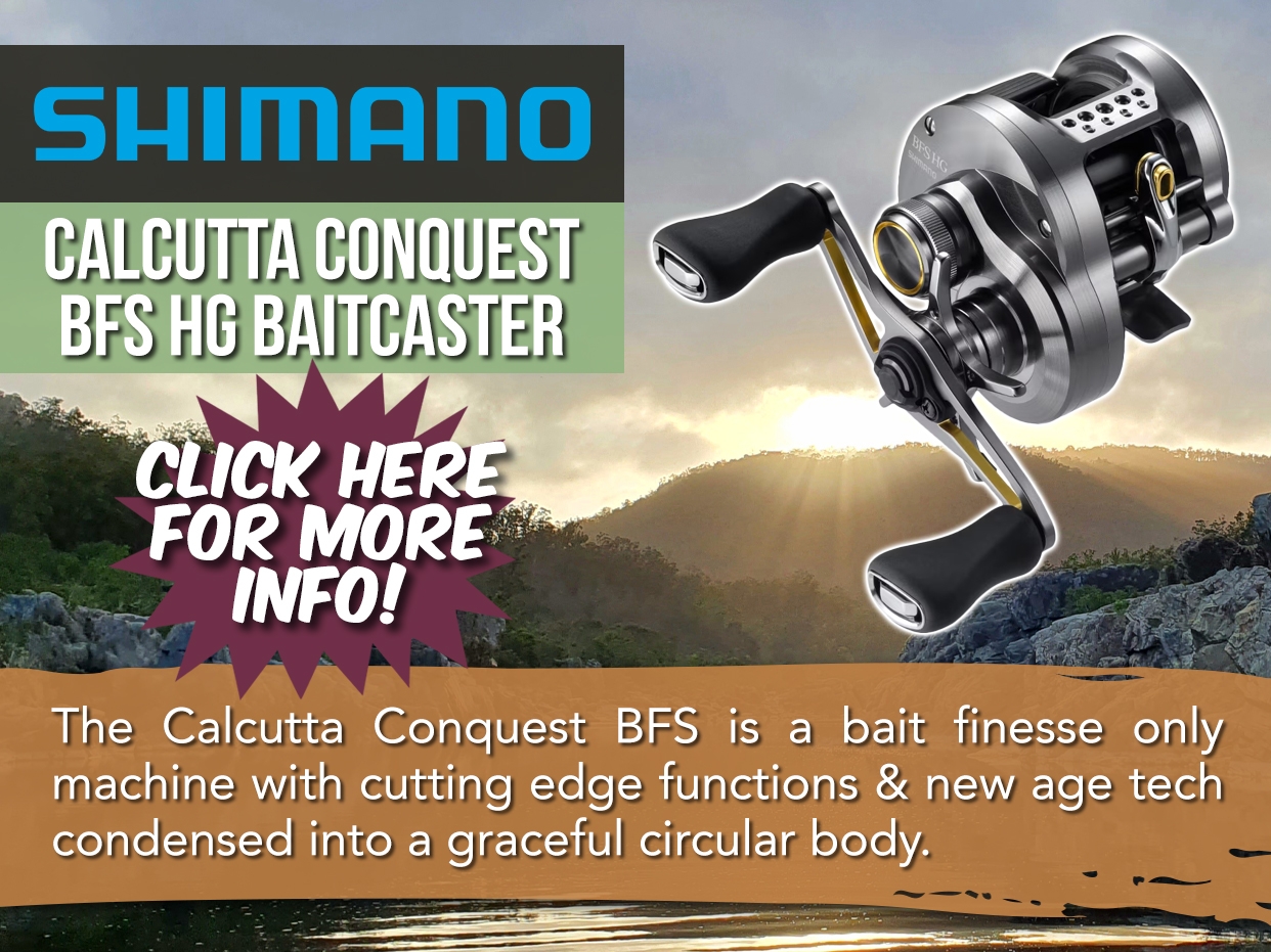 SHIMANO CALCUTTA CONQUEST BFS HG BAITCAST REEL