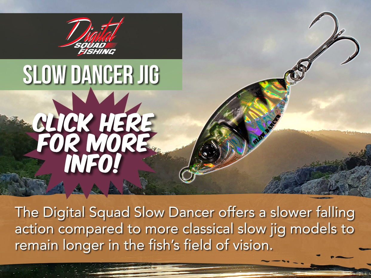 DIGITAL SQUAD FISHING SLOW DANCER JIG