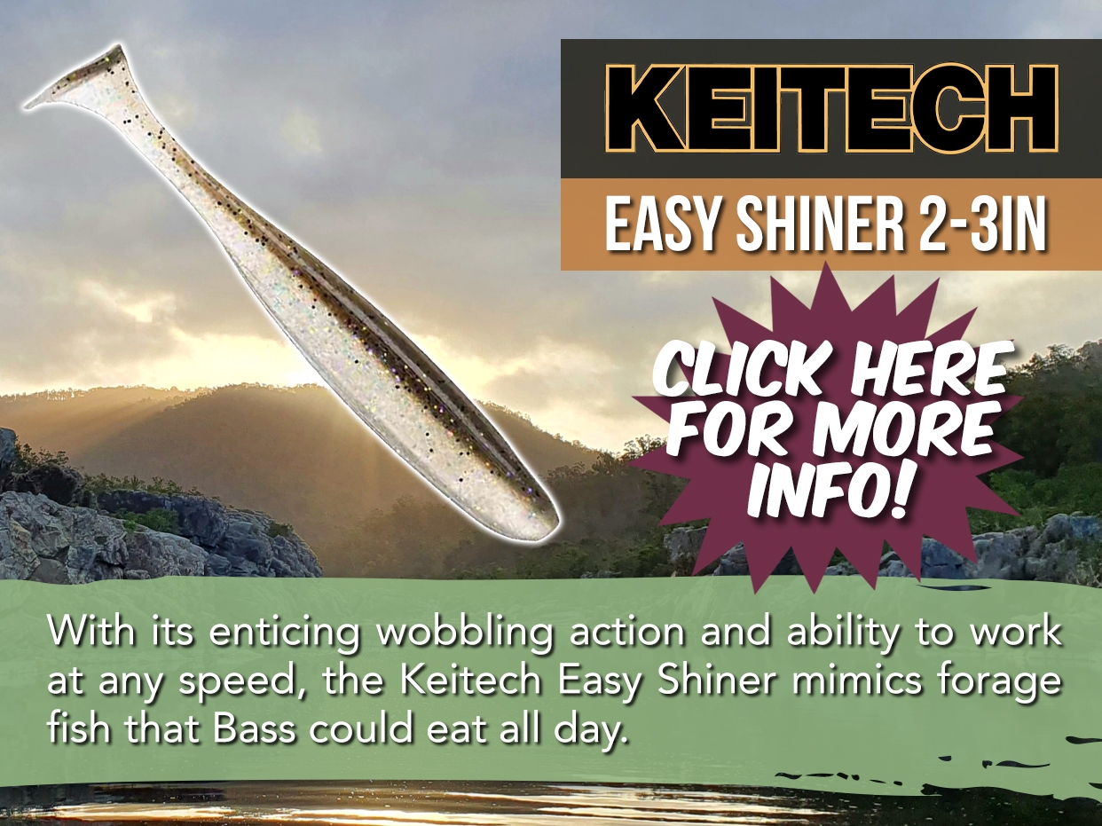 KEITECH EASY SHINER 2 - 3 INCH LURE