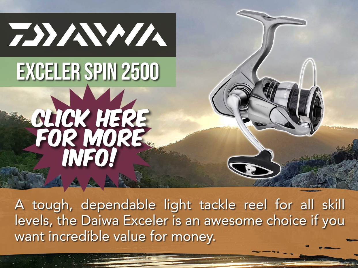 DAIWA 23 EXCELER SPIN REEL