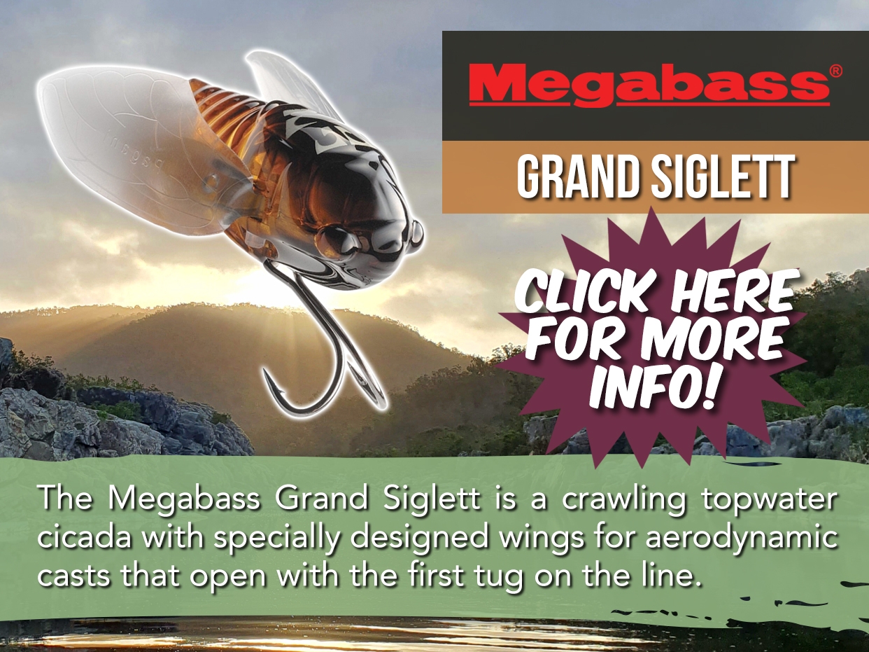 MEGABASS GRAND SIGLETT