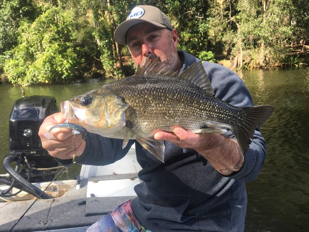 Steve Cairns - Mail Order Sales at MoTackle & Outdoors Steve Cairns - Mail Order Sales at MoTackle & Outdoors