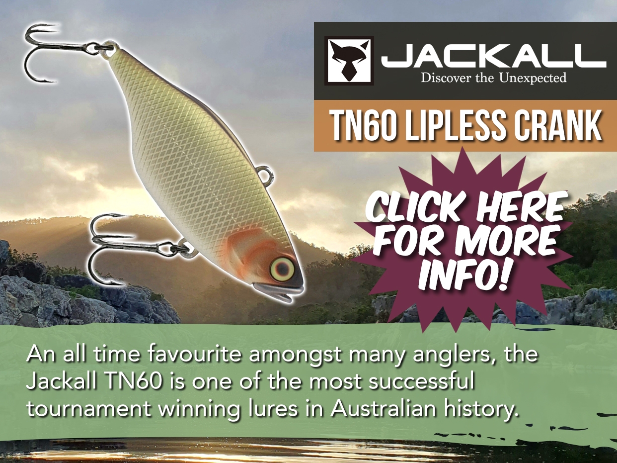 Jackall TN60