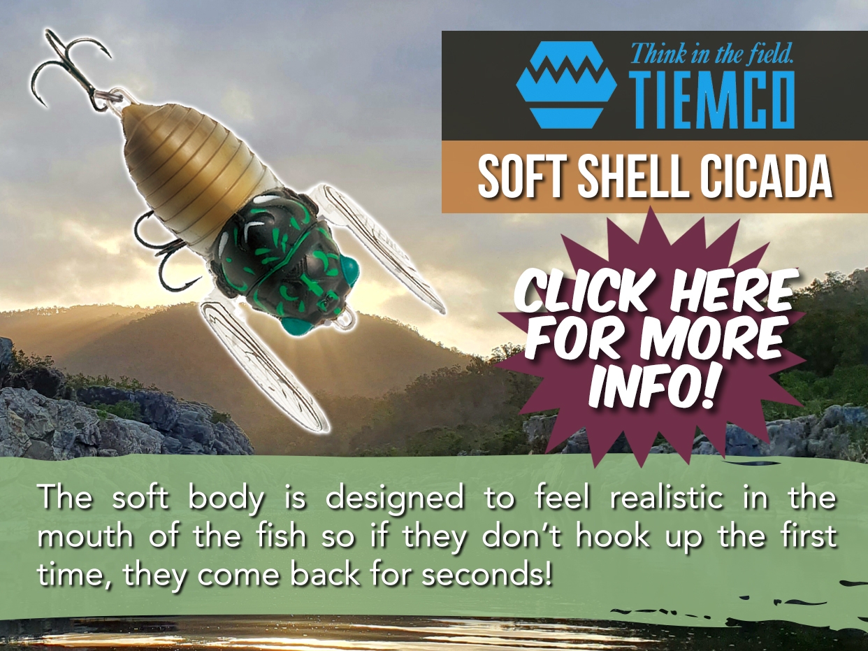 TIEMCO SOFT SHELL CICADA - 40MM
