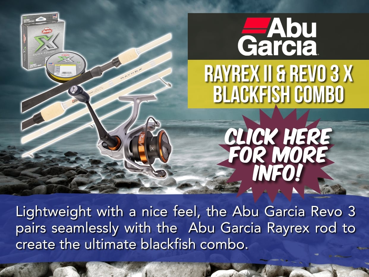 ABU GARCIA RAYREX & REVO 3 X BLACKFISH SPIN COMBO