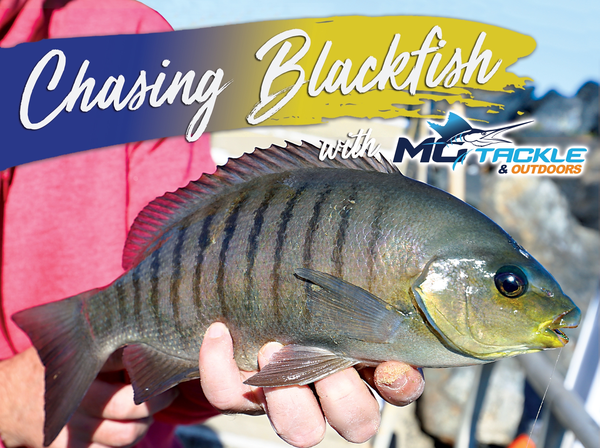 Chasing Blackfish With Motackle