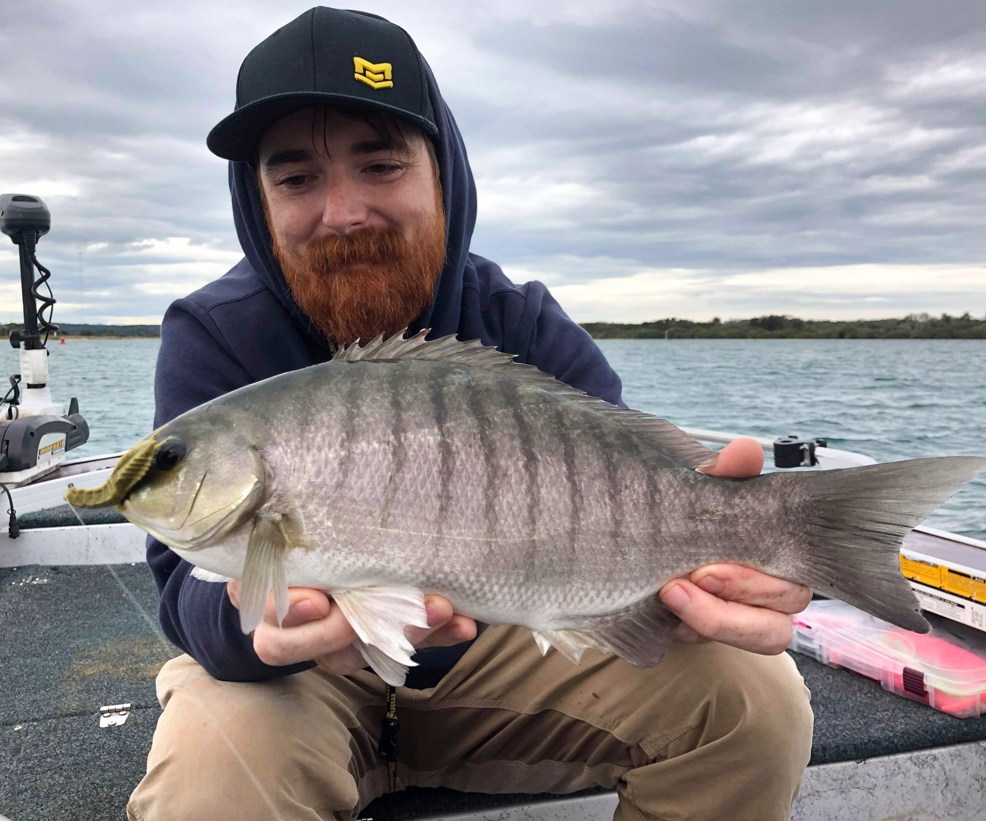 Matt's Blackfish