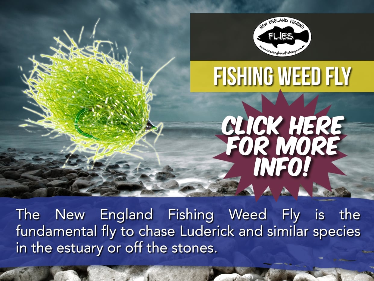 NEW ENGLAND FISHING WEED FLY