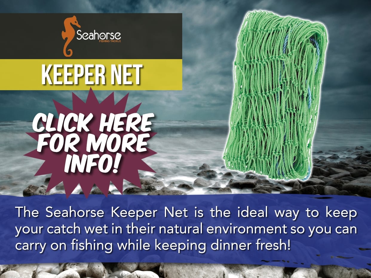 SEAHORSE KEEPER NET