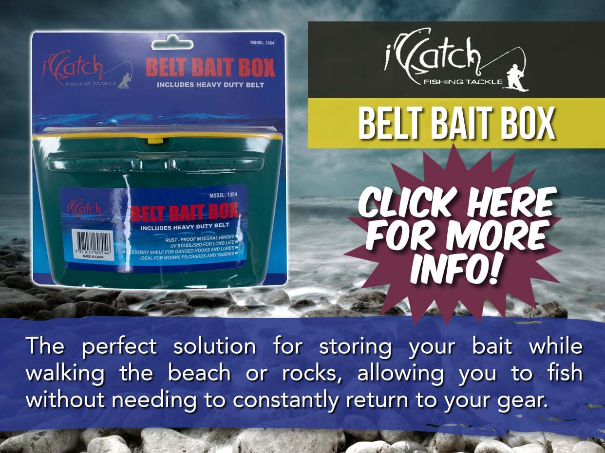 ICATCH BELT BAIT BOX