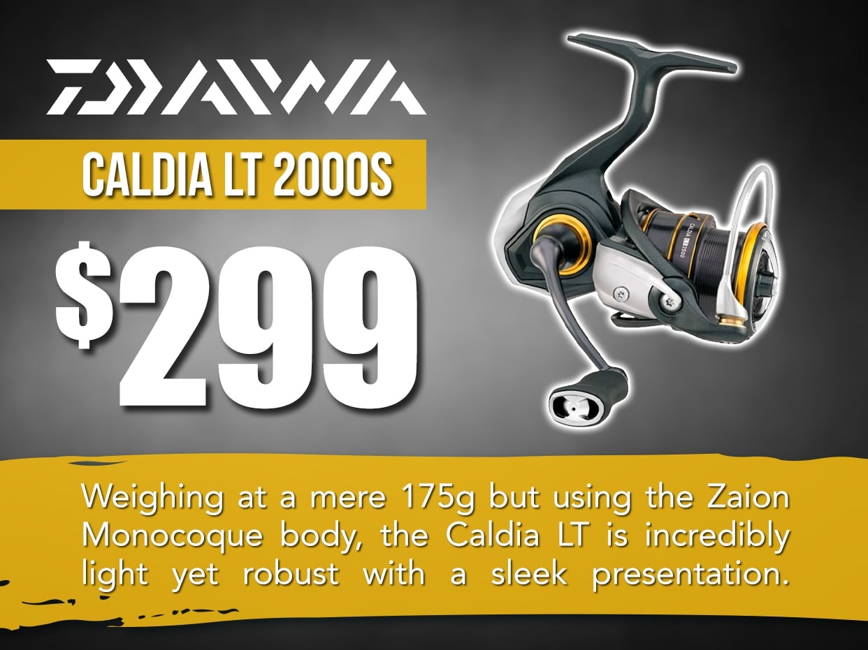 Daiwa Caldia