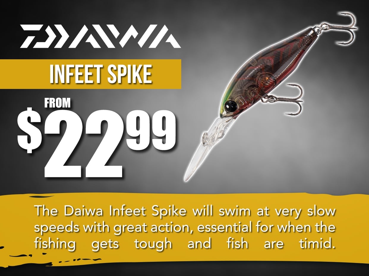 Daiwa Infeet Spike