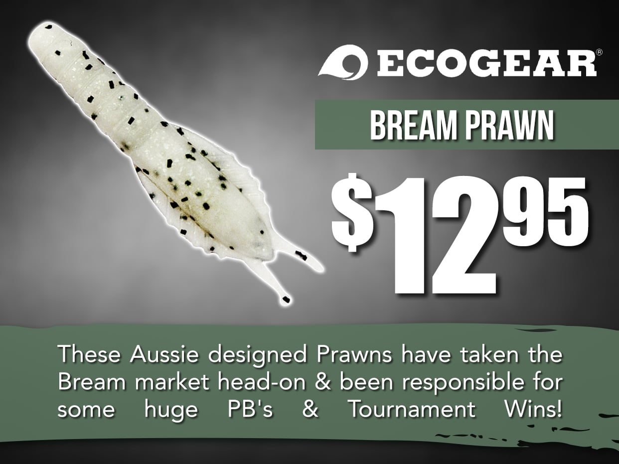 Ecogear Bream Prawn