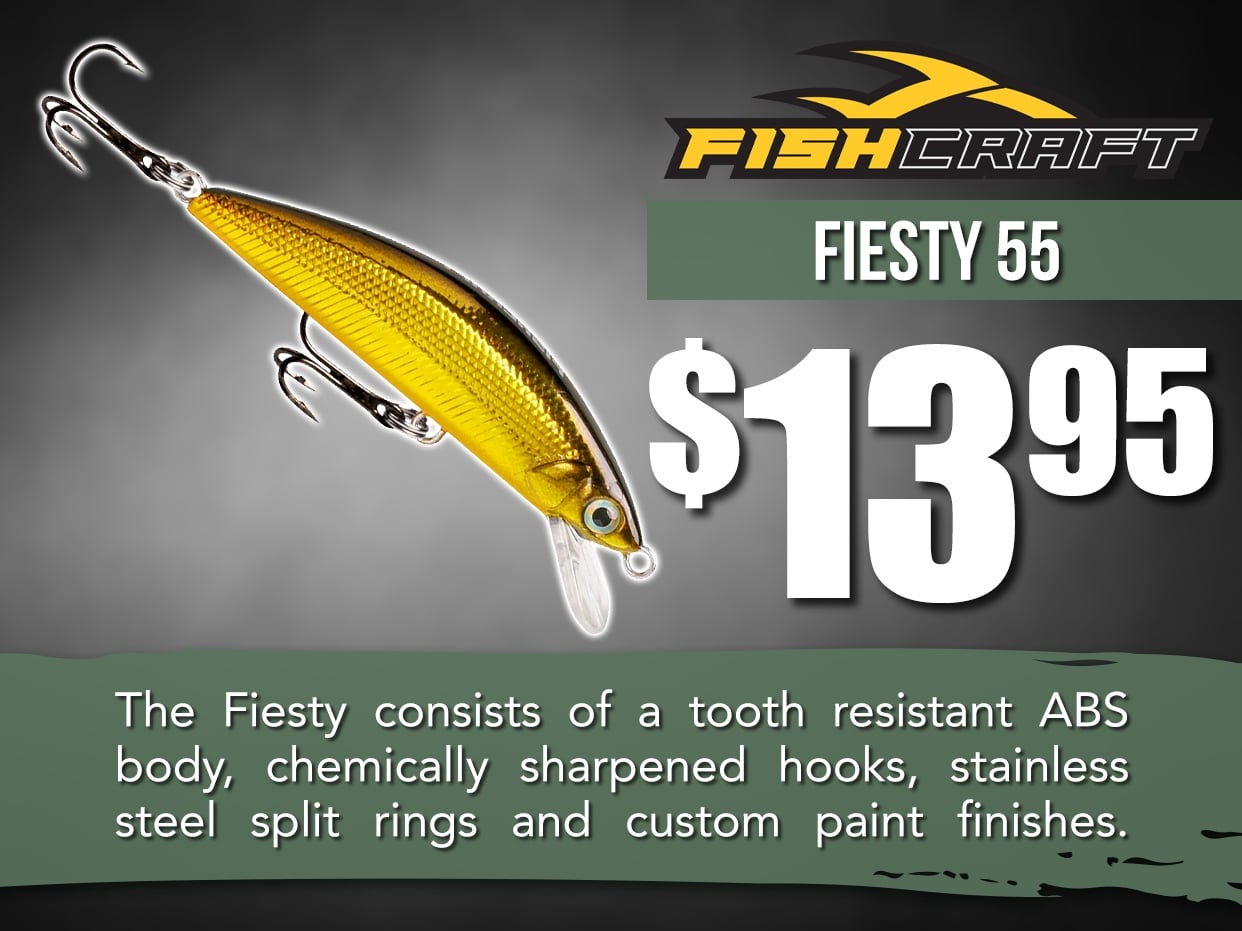 Fishcraft Fiesty 55