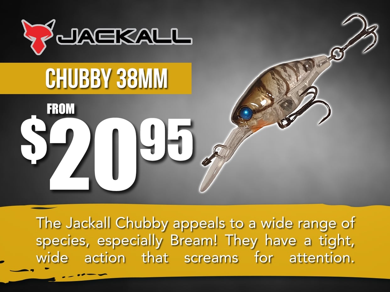 Jackall Chubby