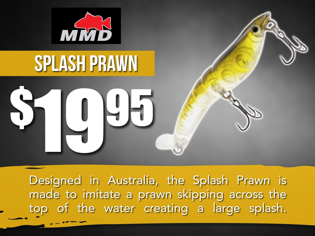 MMD Splash Prawn