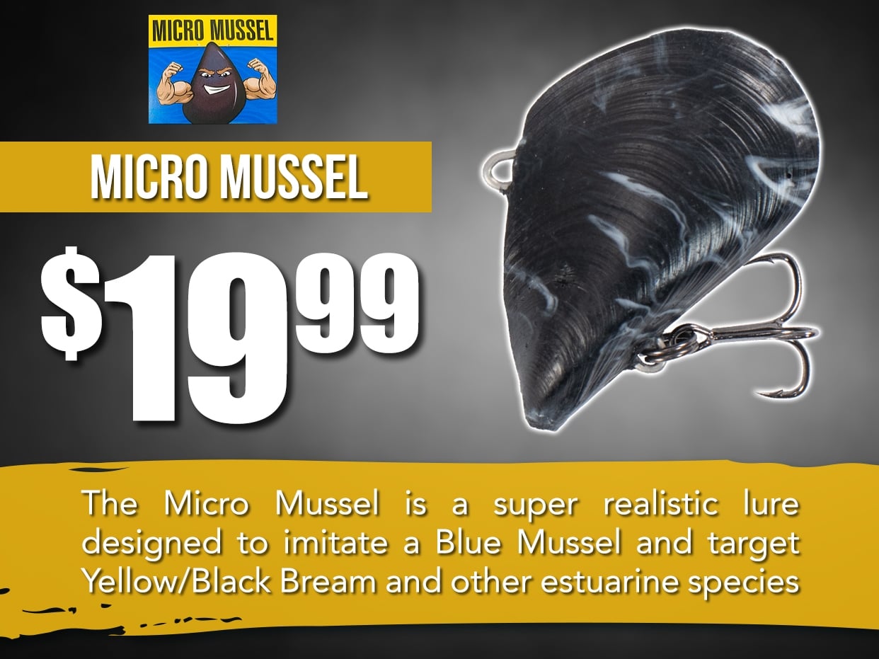 Micro Mussel