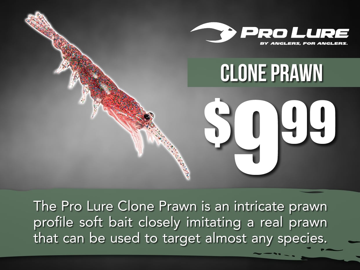 Pro Lure Clone Prawn