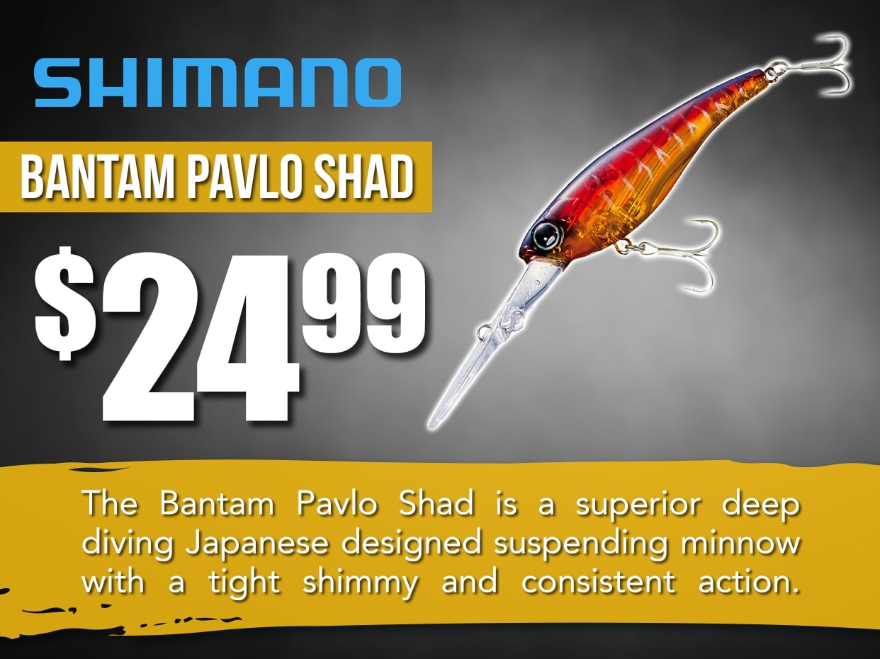 Shimano Bantam Pavlo Shad