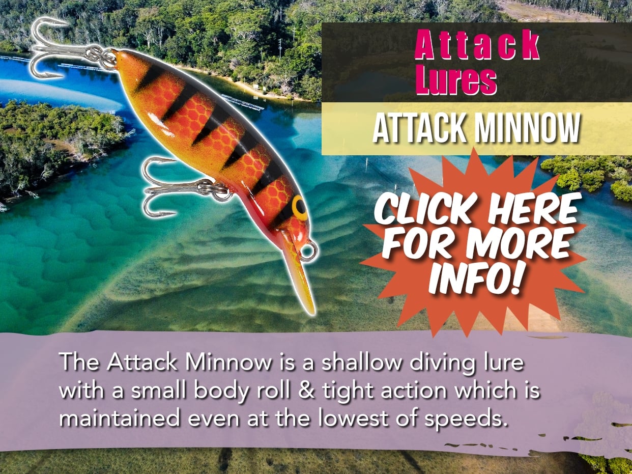 DAN MCGRATH ATTACK MINNOW