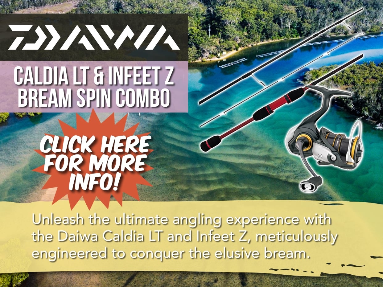 DAIWA 21 CALDIA LT & INFEET Z BREAM SPIN COMBO