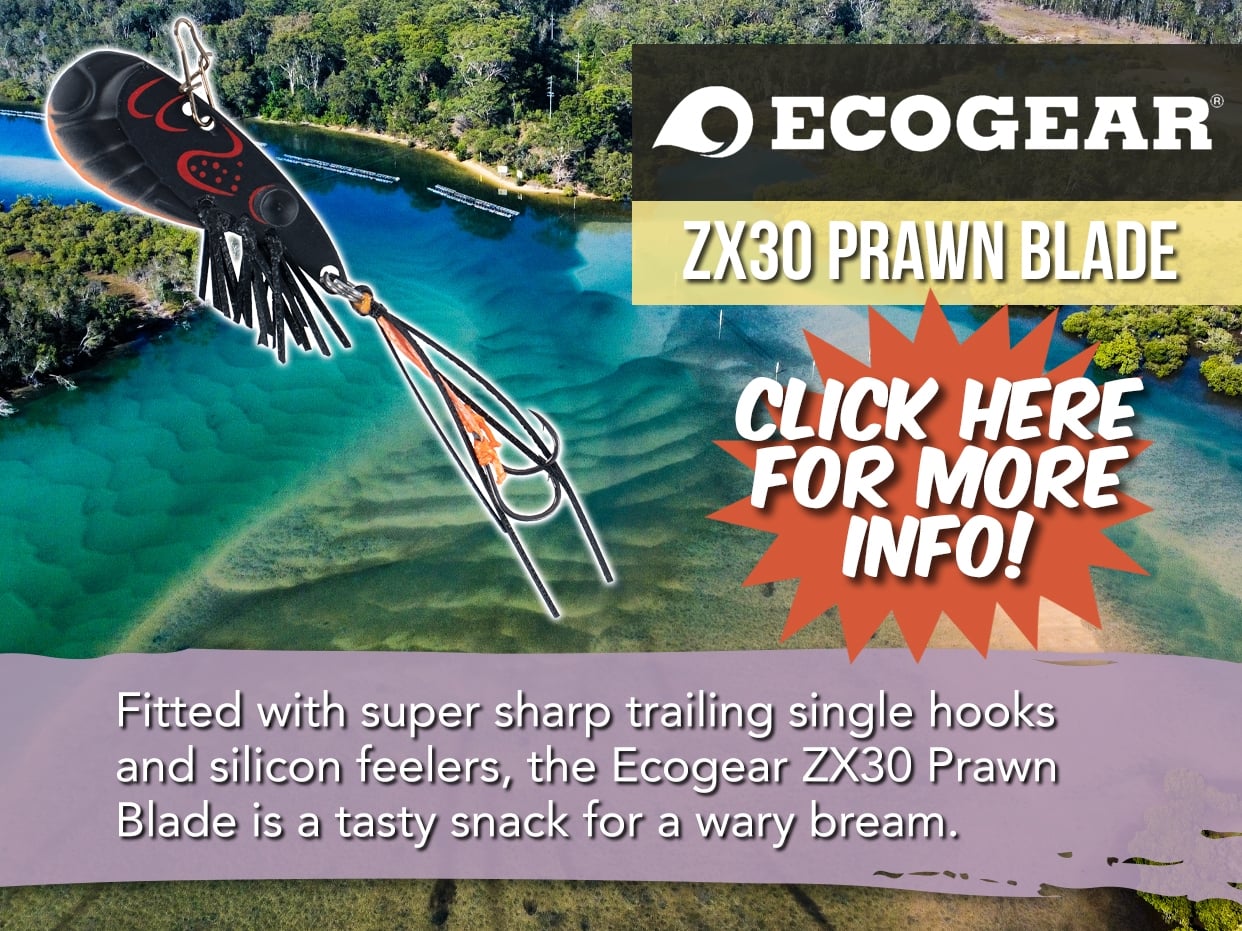 ECOGEAR ZX30