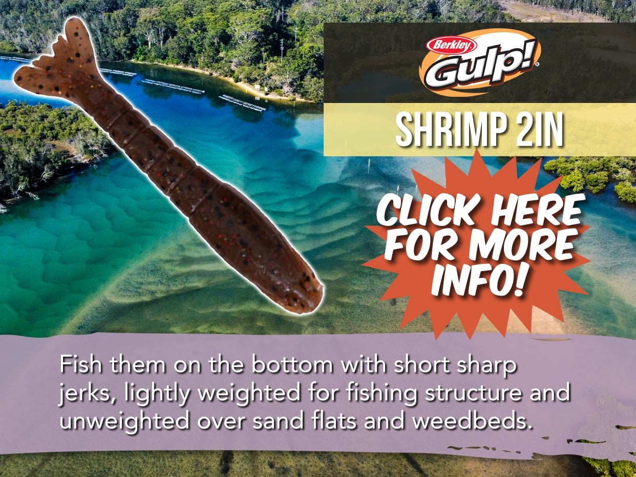 BERKLEY GULP SHRIMP