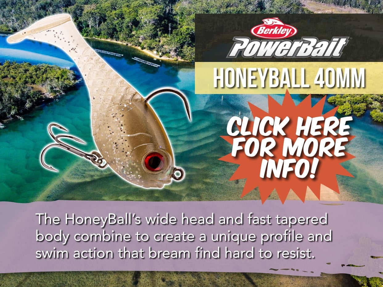 BERKLEY POWERBAIT HONEYBALL LURE