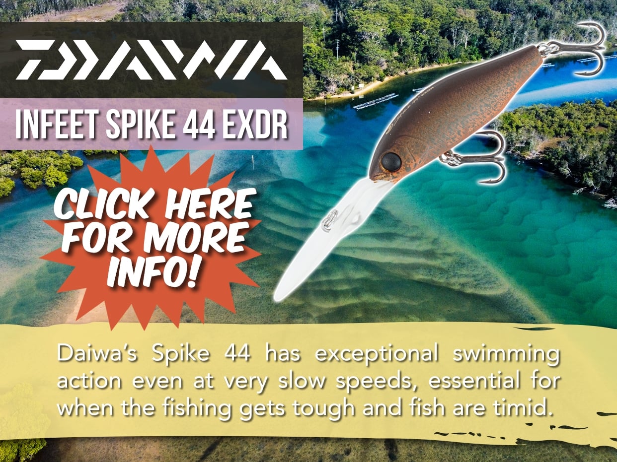 DAIWA INFEET SPIKE 44 EXDR LURE