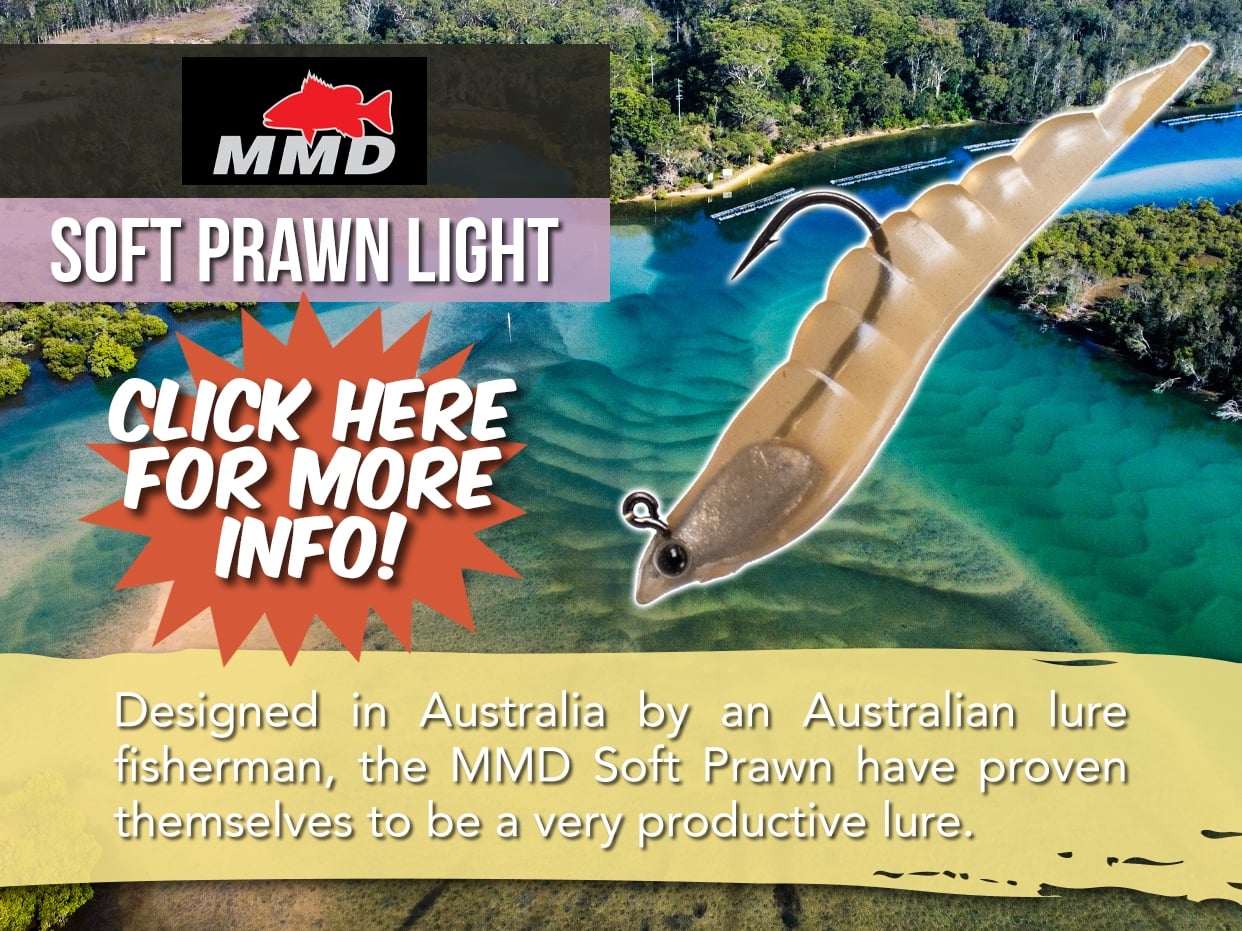 MMD SOFT PRAWN LURE