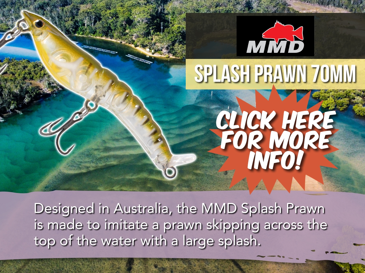 MMD SPLASH PRAWN SURFACE LURE