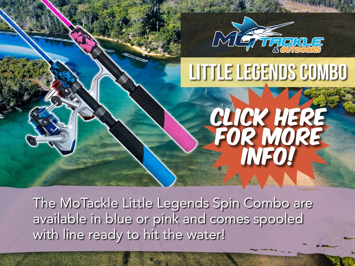 MOTACKLE LITTLE LEGENDS SPIN COMBO
