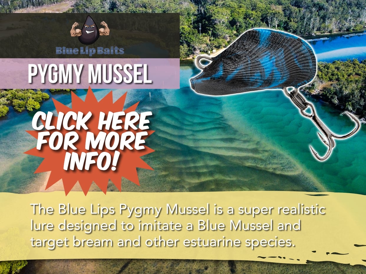 BLUE LIP BAITS PYGMY MUSSEL LURE