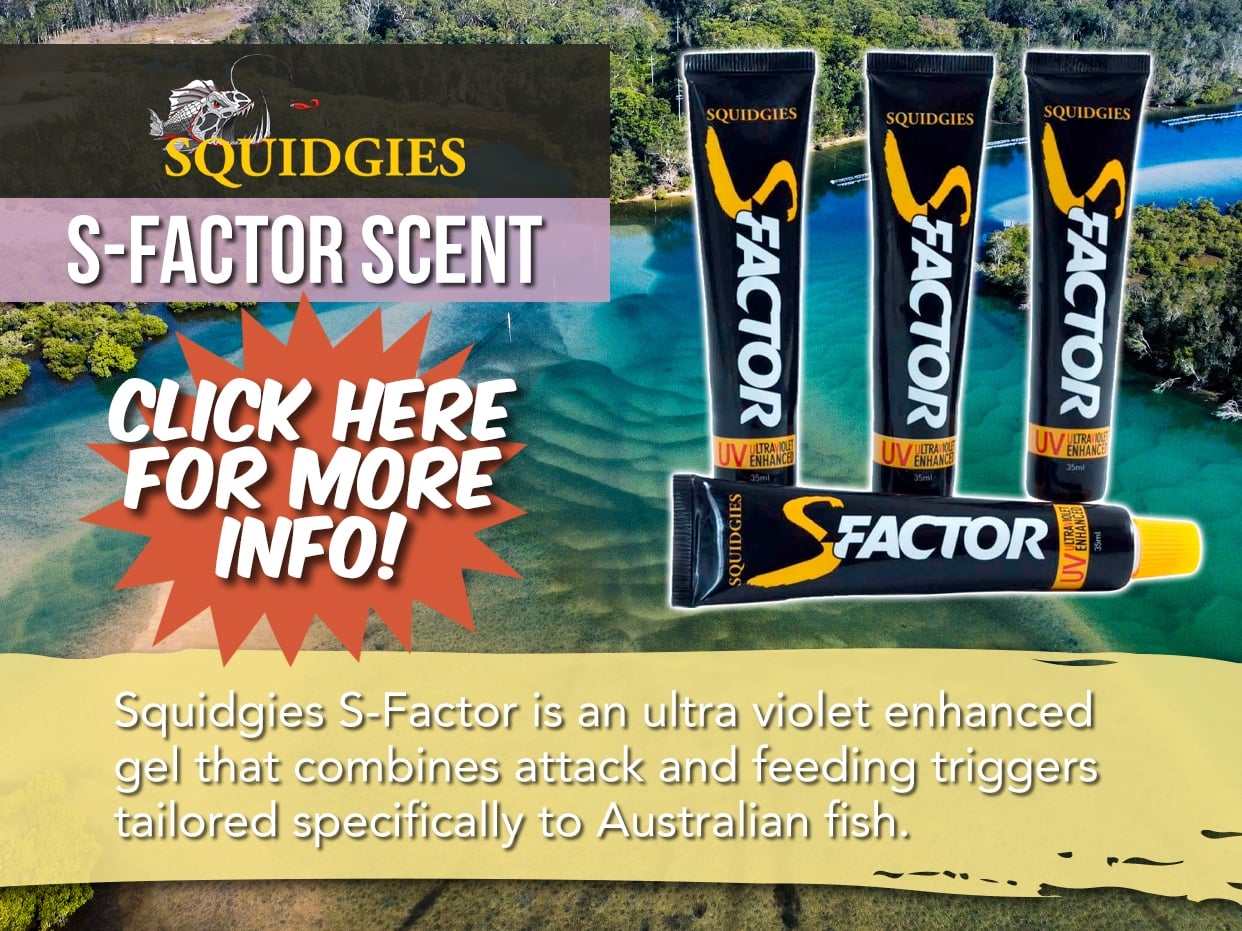 SQUIDGIES S-FACTOR 35ML TUBE