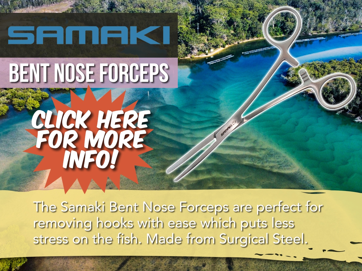 SAMAKI BENT NOSE FORCEPS