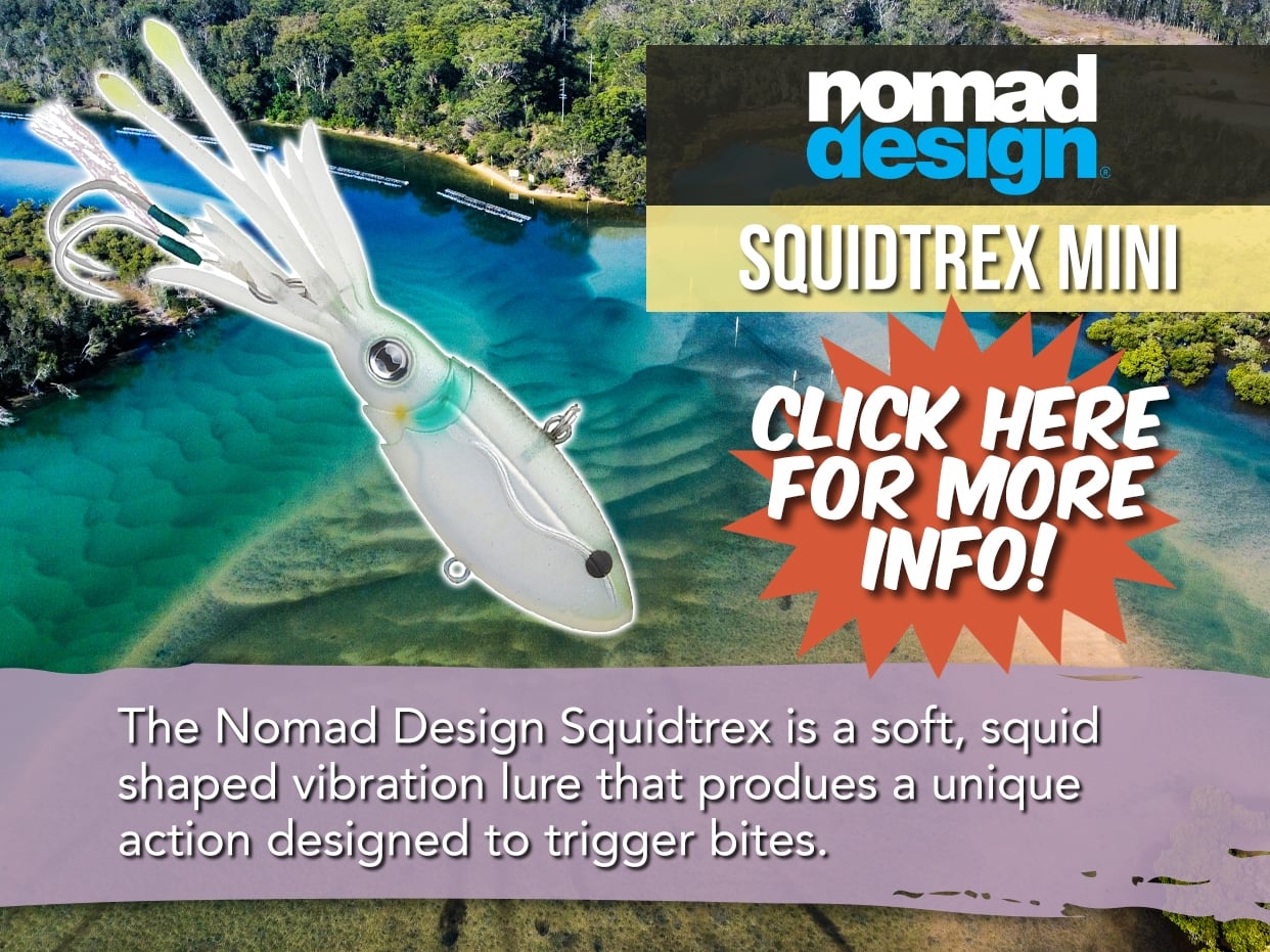 NOMAD DESIGN SQUIDTREX MINI LURE