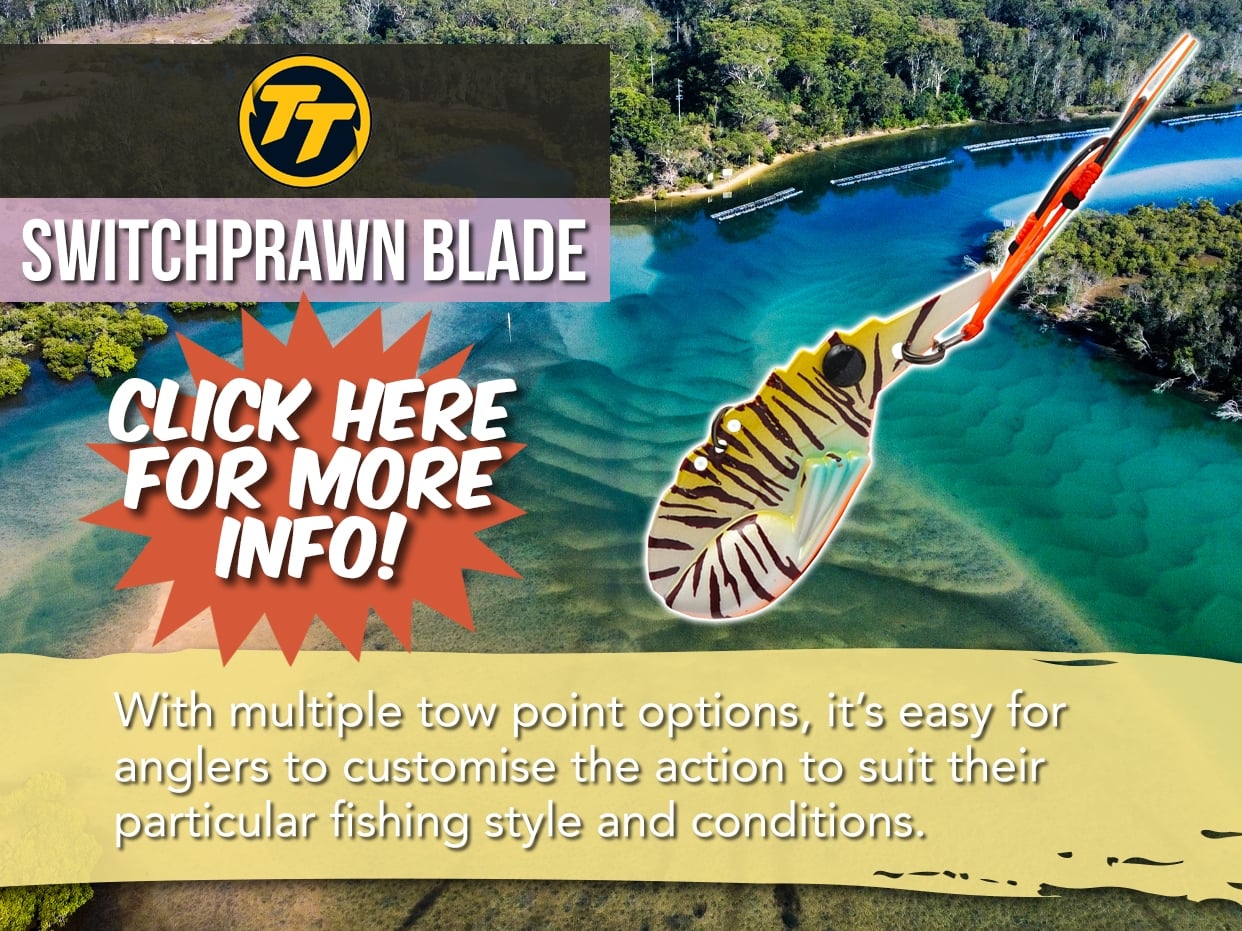 TT SWITCHPRAWN+ BLADE LURE