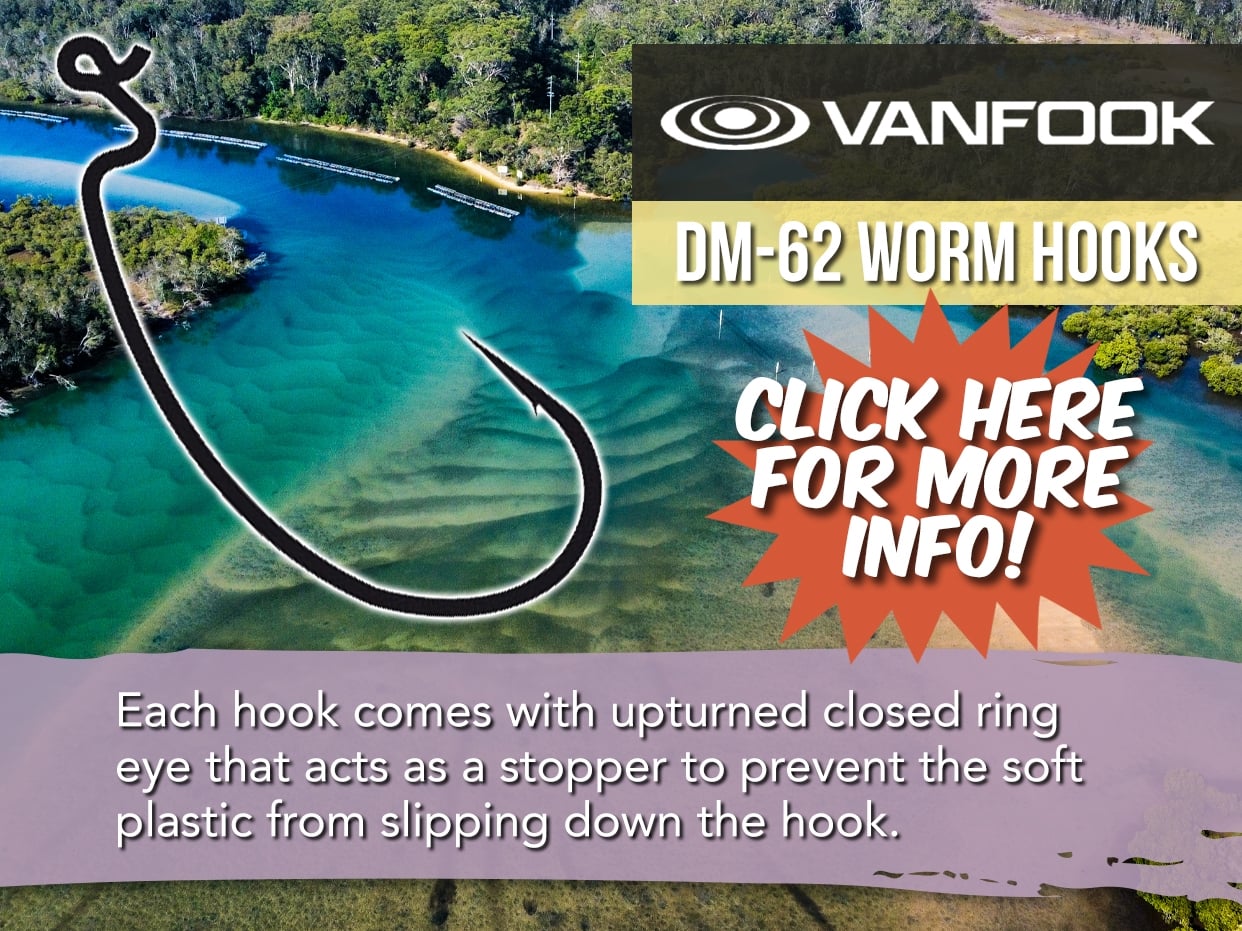 VANFOOK DM-62 MAGIC BEAK WORM HOOK