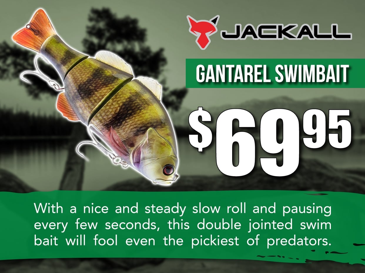 Jackall Gantarel