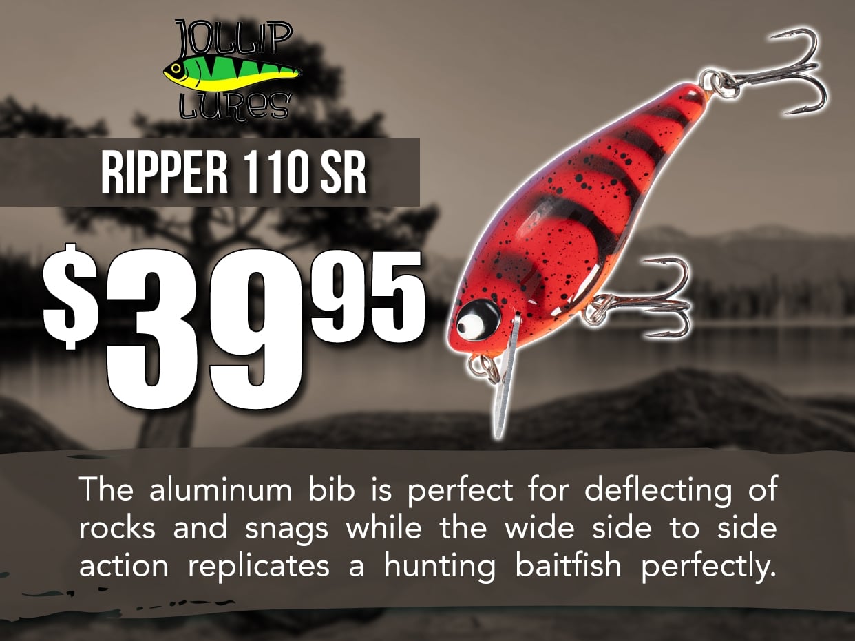 Jollip Ripper