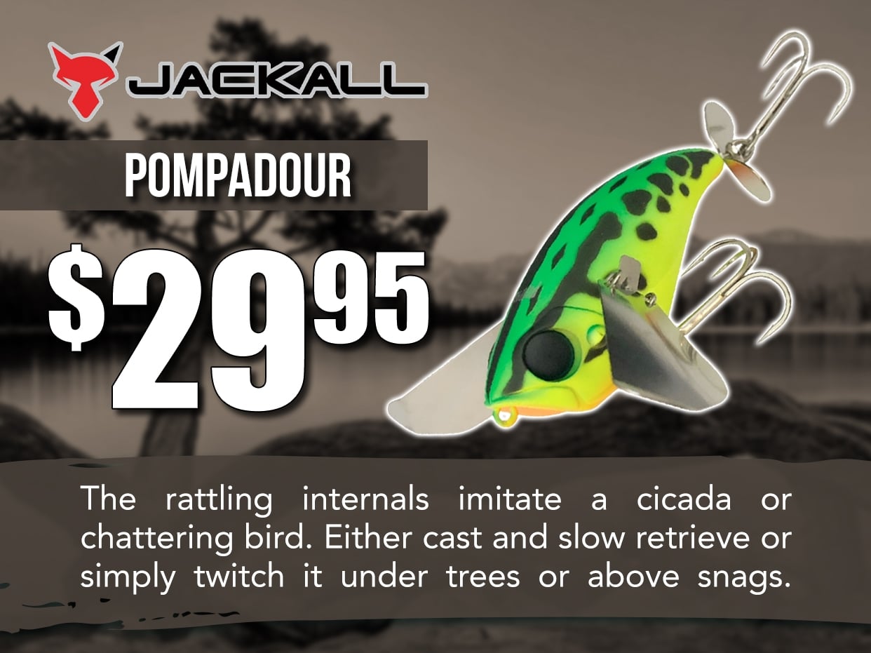 Jackall Pompadour