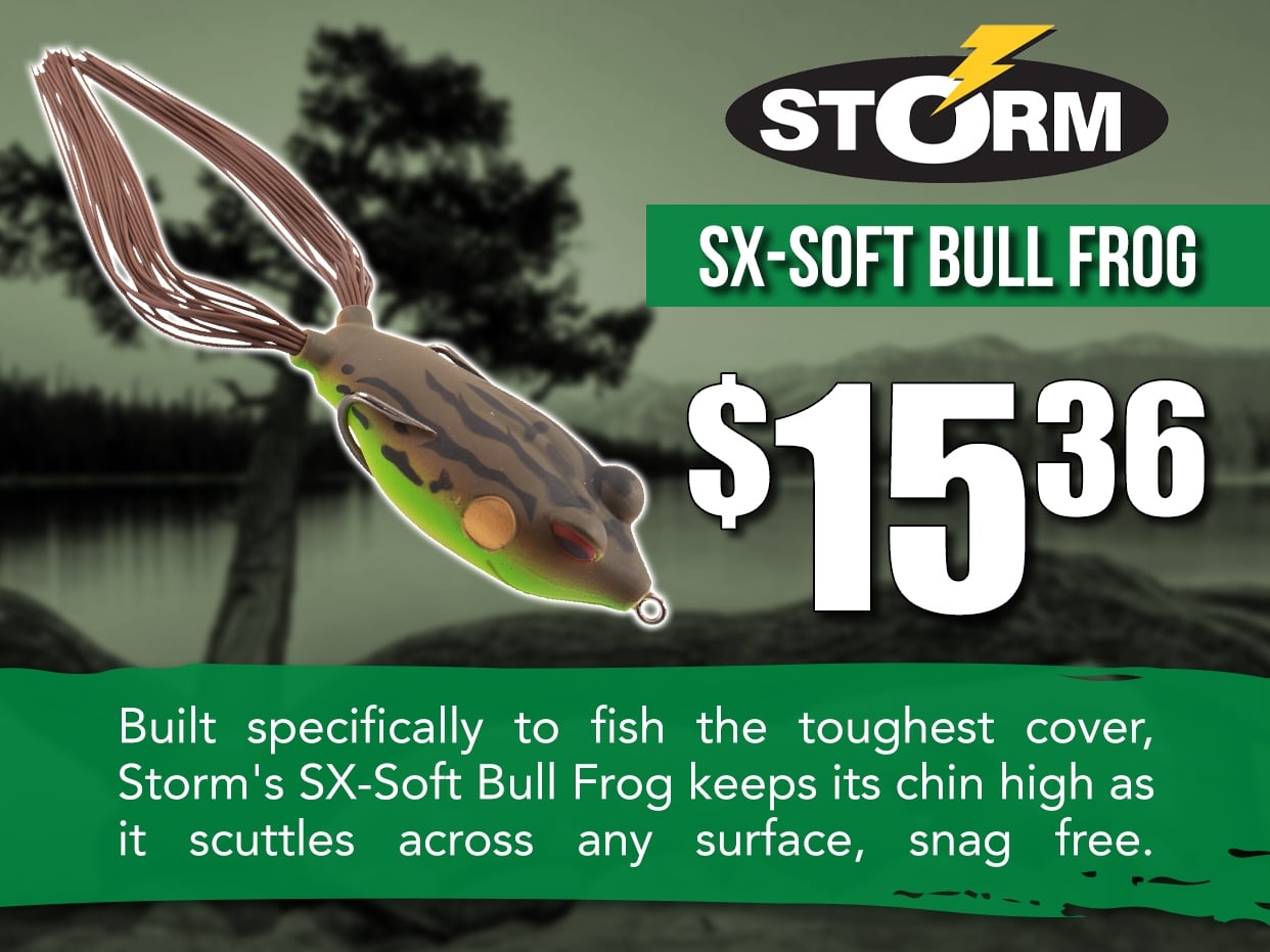 Storm SX Frog